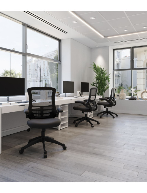 Mesh Office Chair Black Luna Computer Chair BCM/L1302/BK by Eliza Tinsley