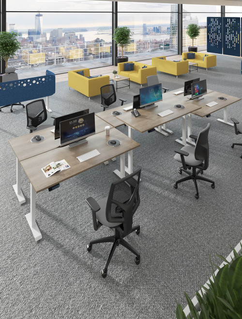 Sit Stand Desk Walnut Elev8 Contract Height Adjustable Desk 1800mm EVC-1800-S-W - enlarged view